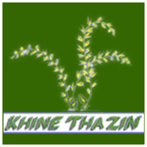 Khine Thazin Tours and Travels Co., Ltd.